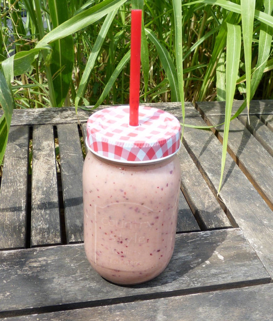 recette smoothie nectarines melon