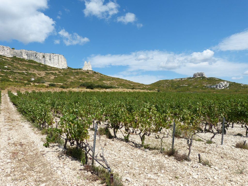 chateau calissanne lancon vin huile