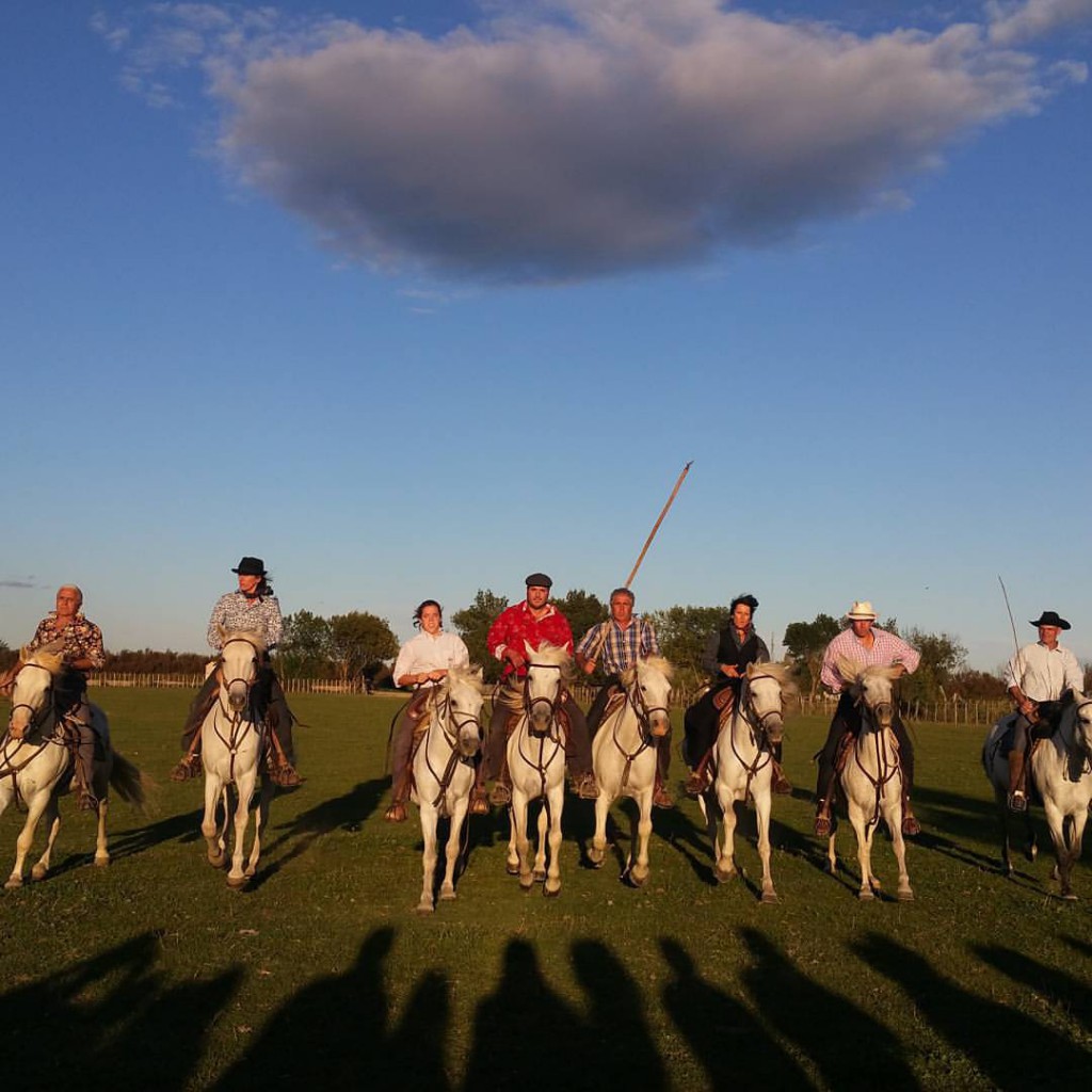 abrivado camargue