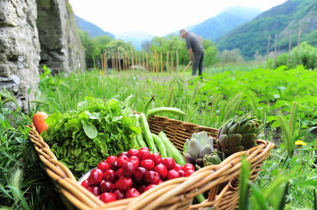 Jardin de montagne Bio