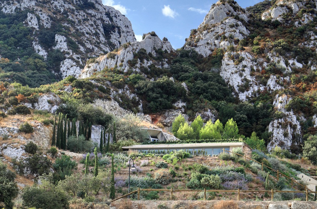 vins chateau romanin provence