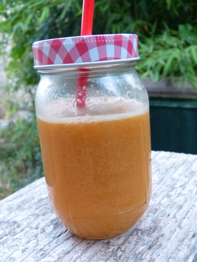 jus extracteur pomme fenouil