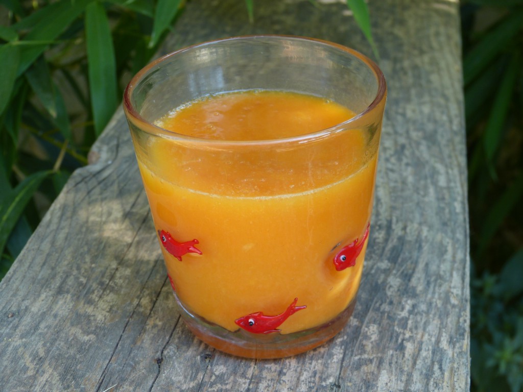 recette jus nectarine abricot extracteur