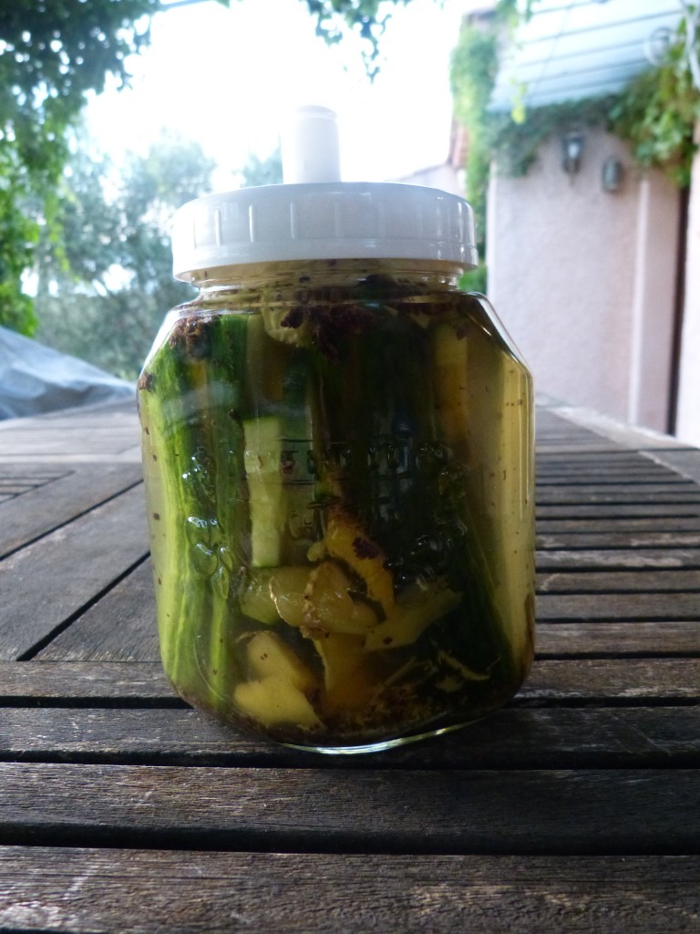 recette lacto-fermentation concombres moutarde