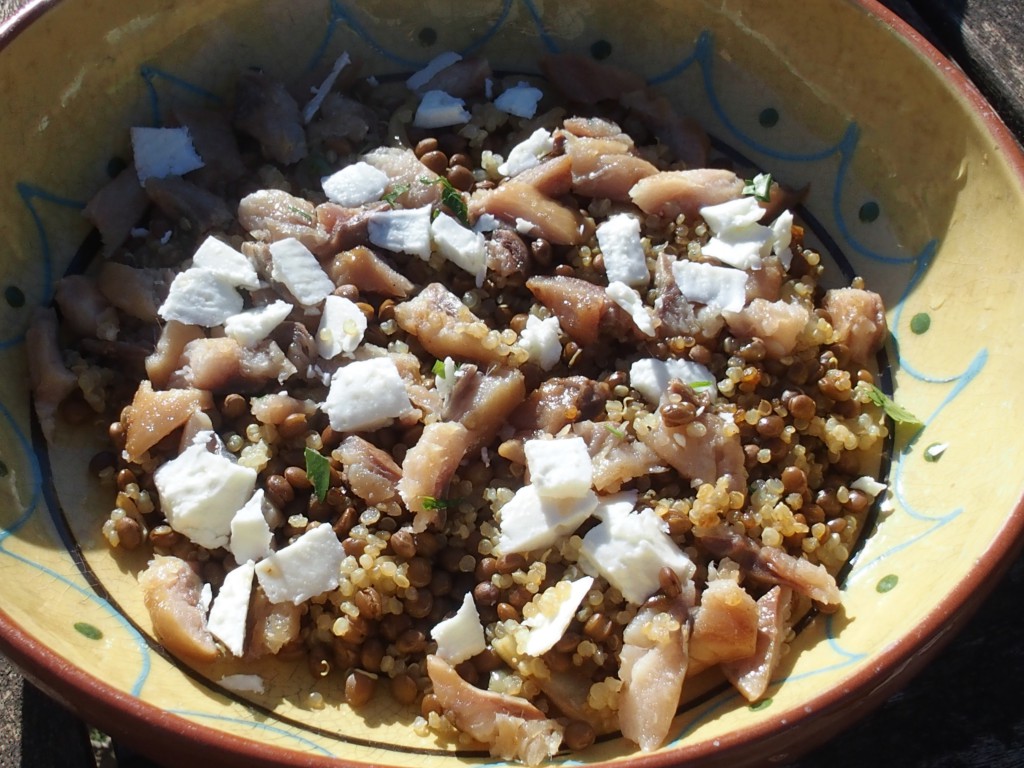 recette salade lentilles quinoa haddock