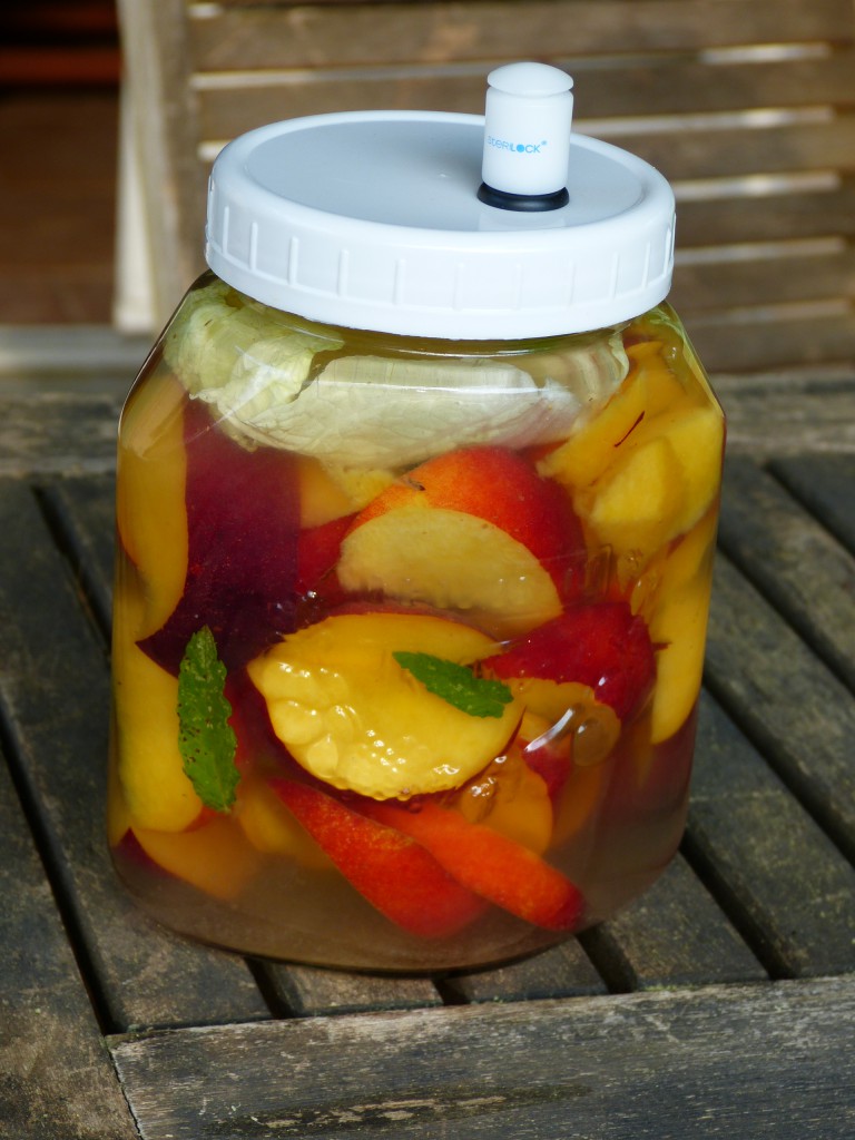 recette nectarines lactofermentation