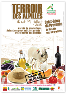 terroir des alpilles